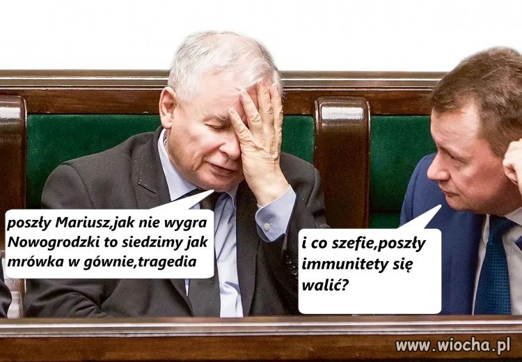 Oj,naczelny