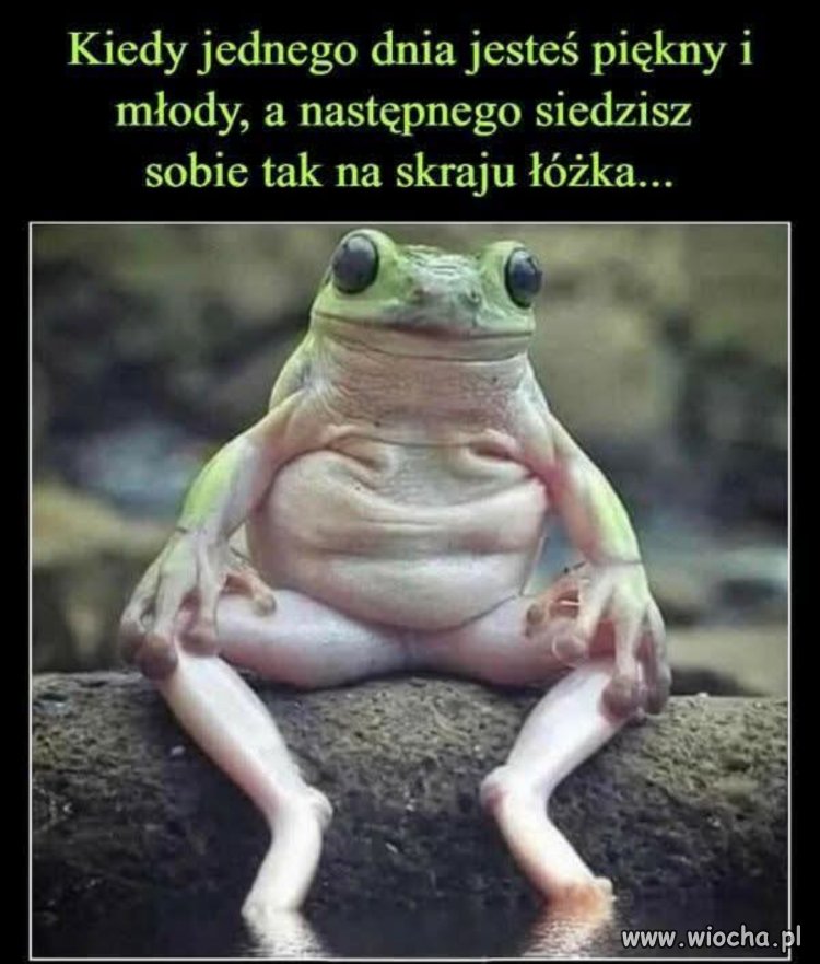 Heheszki 