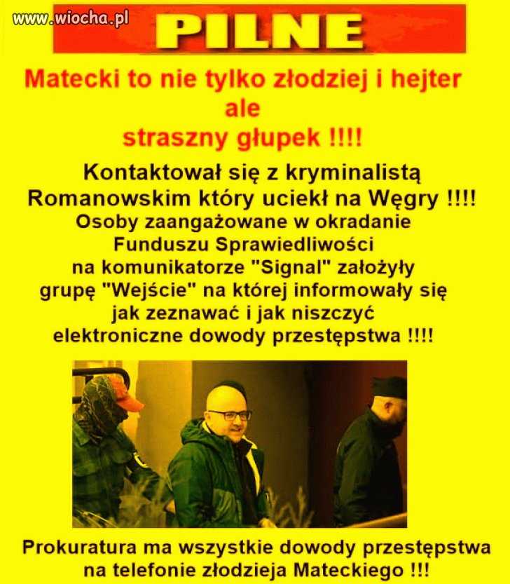 Łysy idiota