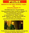 Łysy idiota