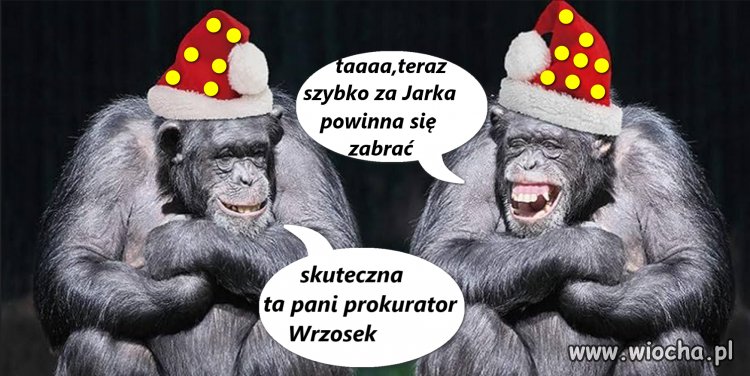 Skuteczność