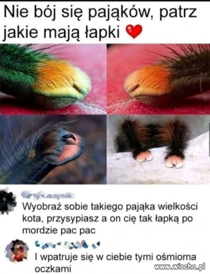 Nie wiem jak wy