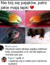 Nie wiem jak wy