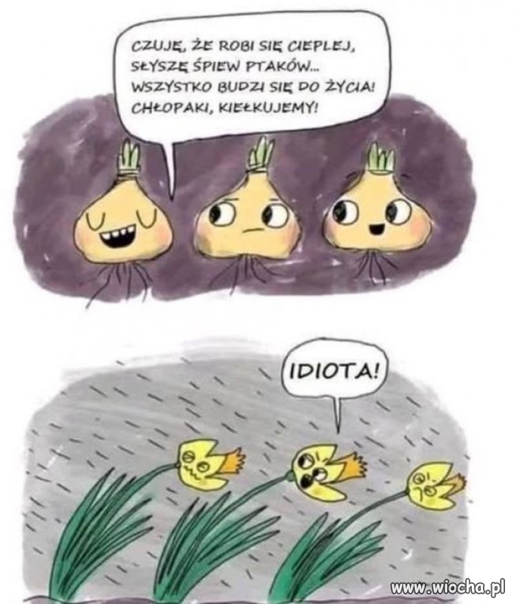 Wiosna, ciepło 