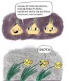 Wiosna, ciepło 