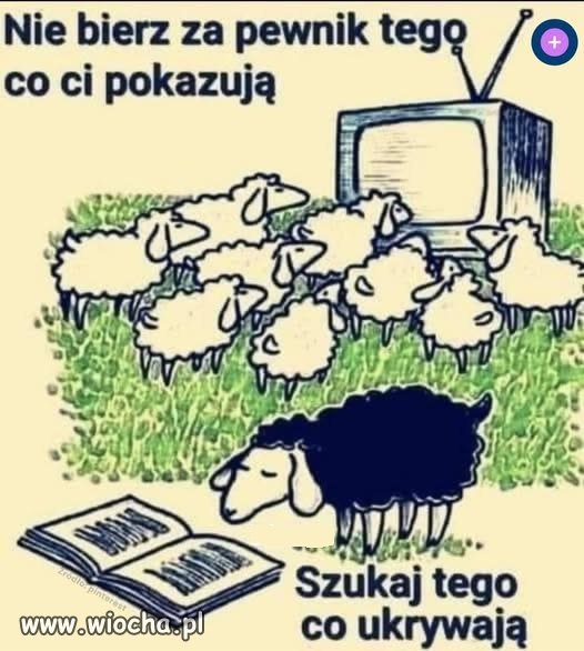 Potwierdzam