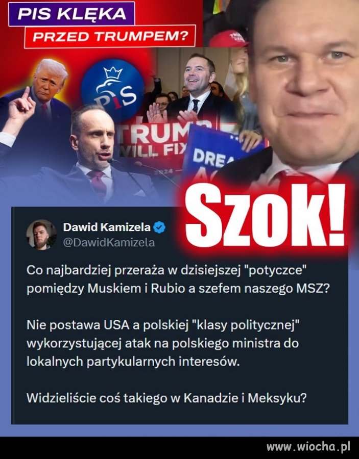 PiSowcy to zdrajcy Polski !