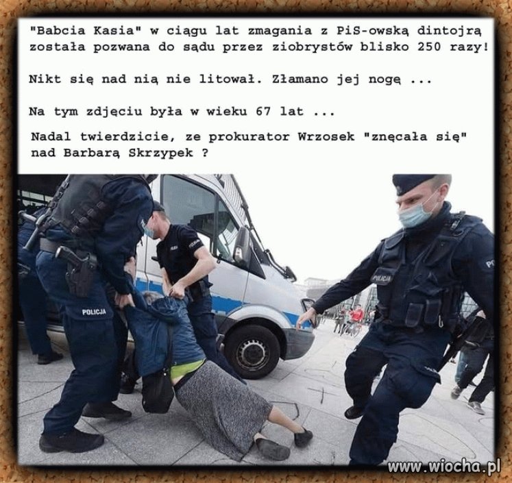Szach mat pisowskie wszarze