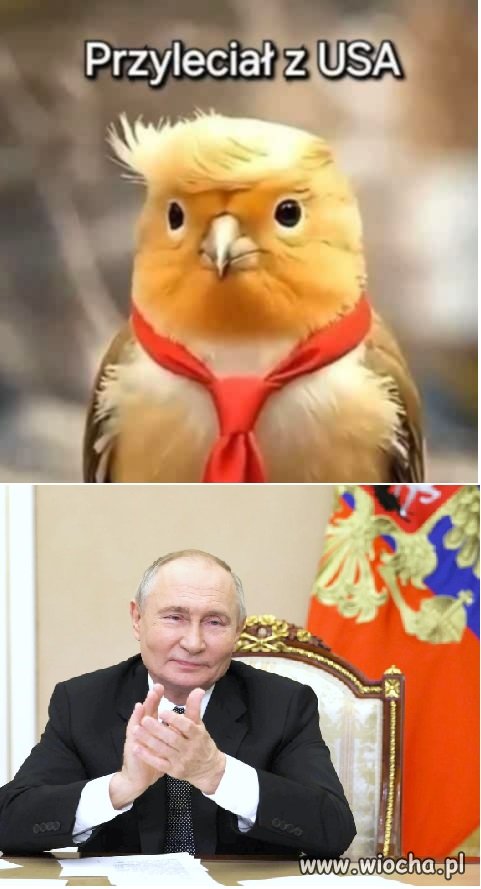 Lepszy Trump w garści niż Zeleński na dachu