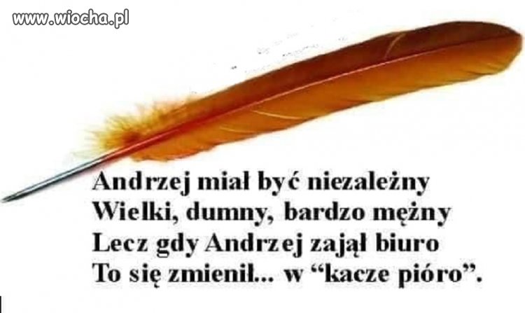 Pióro też jest niezależne...