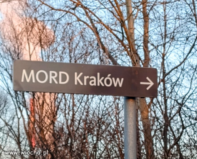 Tu zabijają...