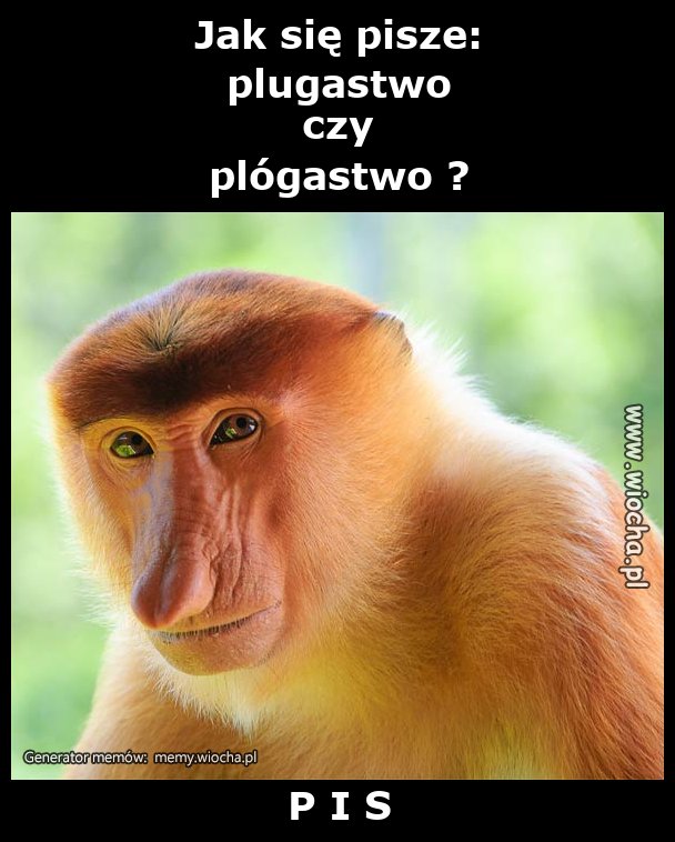 Jak się pisze:
plugastwo
czy 
plógastwo ?
