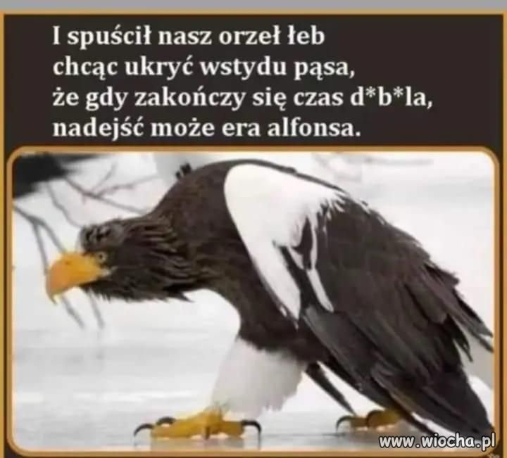 Pamiętaj na kogo 