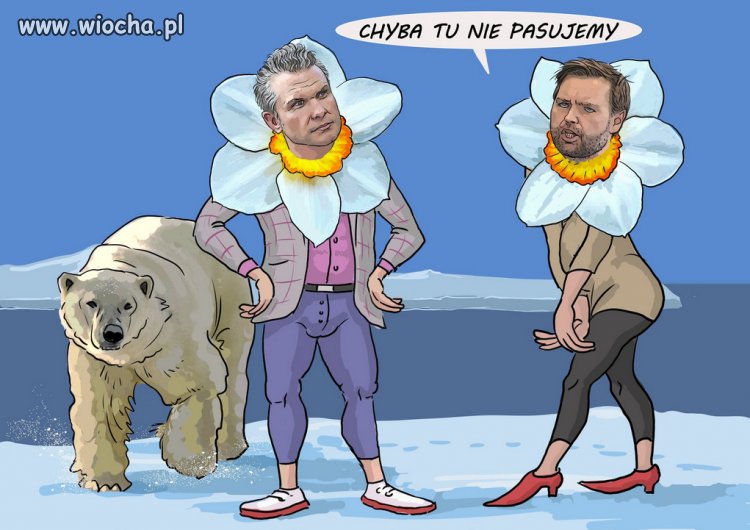 PiSiory też nie pasują w swoich czerwonych czapeczkach!
