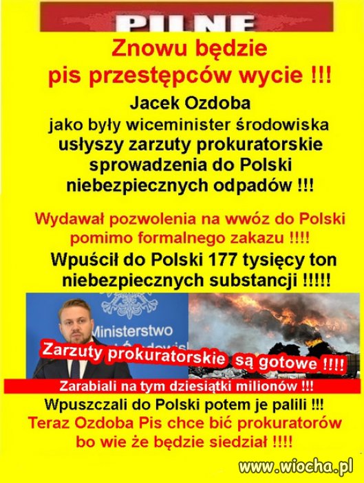 Gdzie nie popatrzeć, wszędzie złodzieje PiSu...