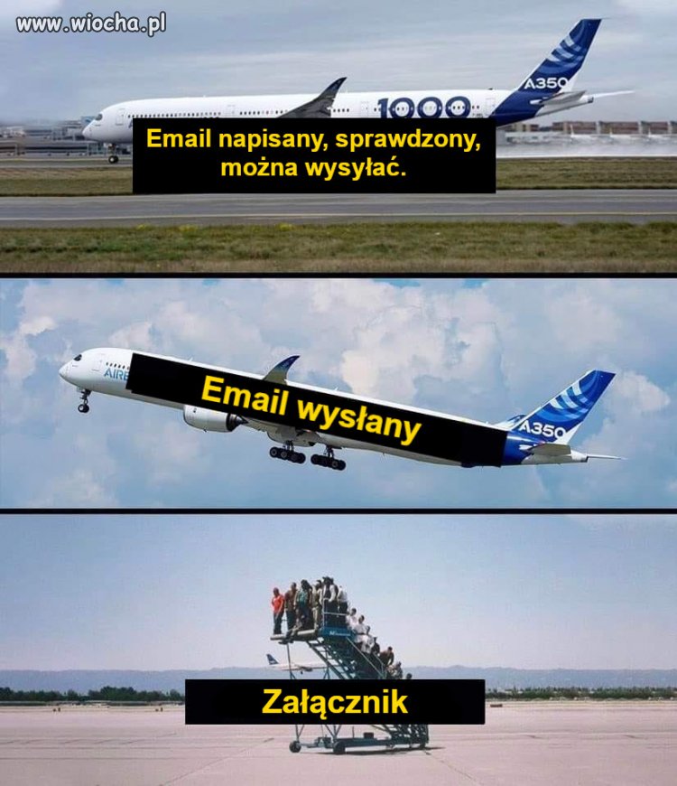 W punkt.