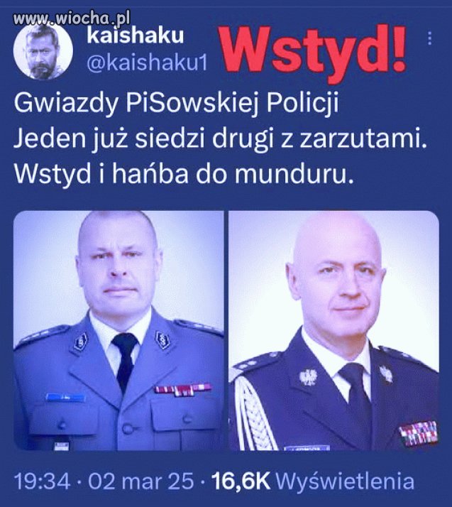 To się w pale nie mieści