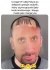 Twarz nieskalana inteligencją