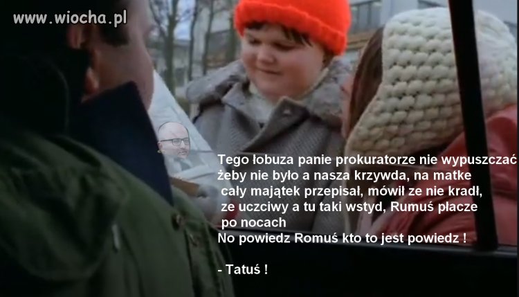 Miś Bareya to przewidział szmatecki 