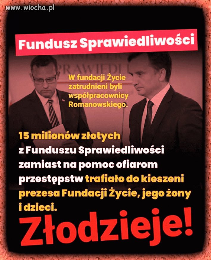 Złodziejskie bydlęta