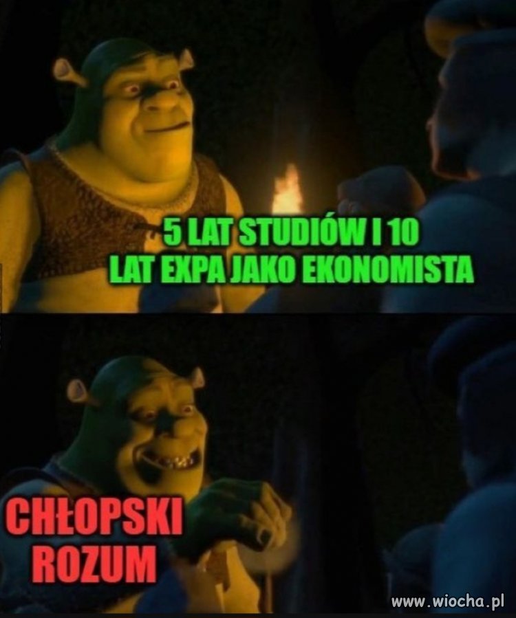 Kiedy jesteś po prostu zwykłym burakiem