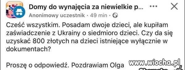 PatOlka dobrze kombinuje.