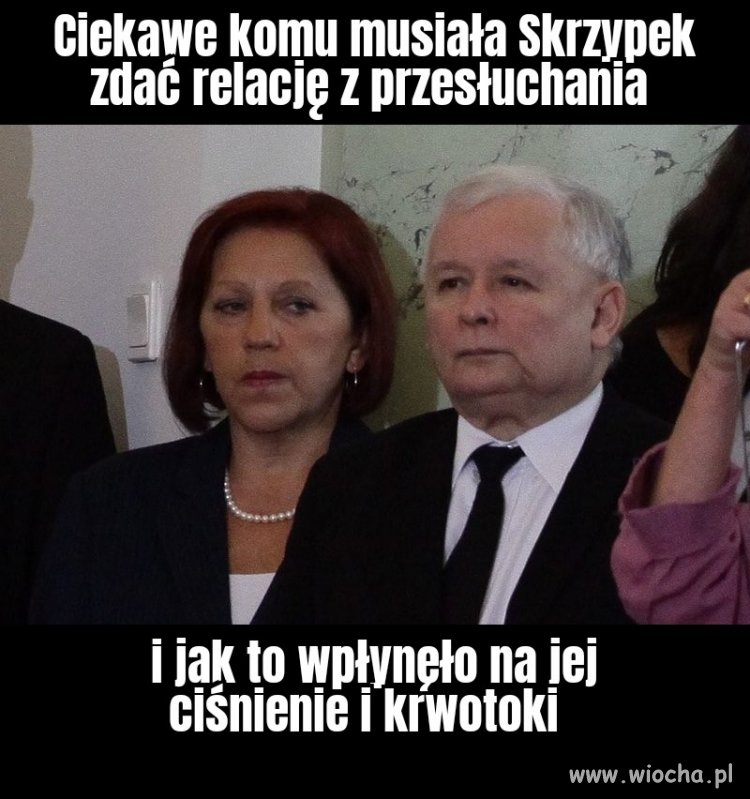 Nic nie sugeruję 