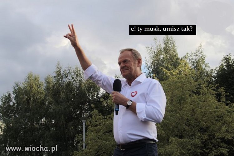 Musk jest cienki jak polsilver