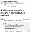 Pytanie i od razu w odpowiedzi 