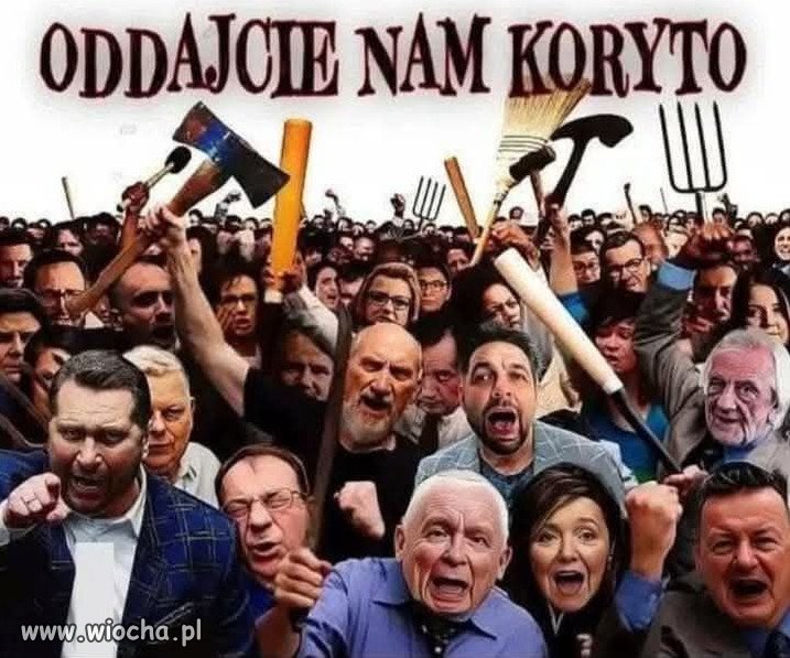 Co dzień słychać wycie, knucie i szczucie PiSu...