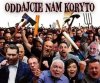 Co dzień słychać wycie, knucie i szczucie PiSu...