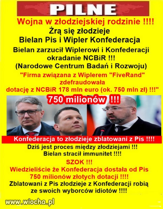 Konfederosja to przystawka PiSu,