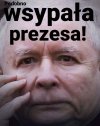 Za takie czyny w tej mafii płaci się życiem !