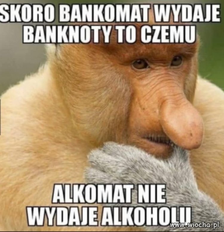 Zagadką jest ten fakt 