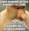 Zagadką jest ten fakt 