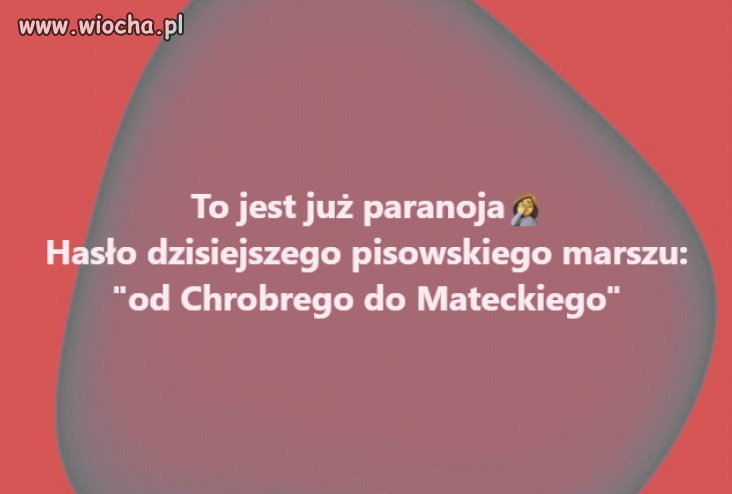 Głupota pisowskich szmaciarzy jest porażająca