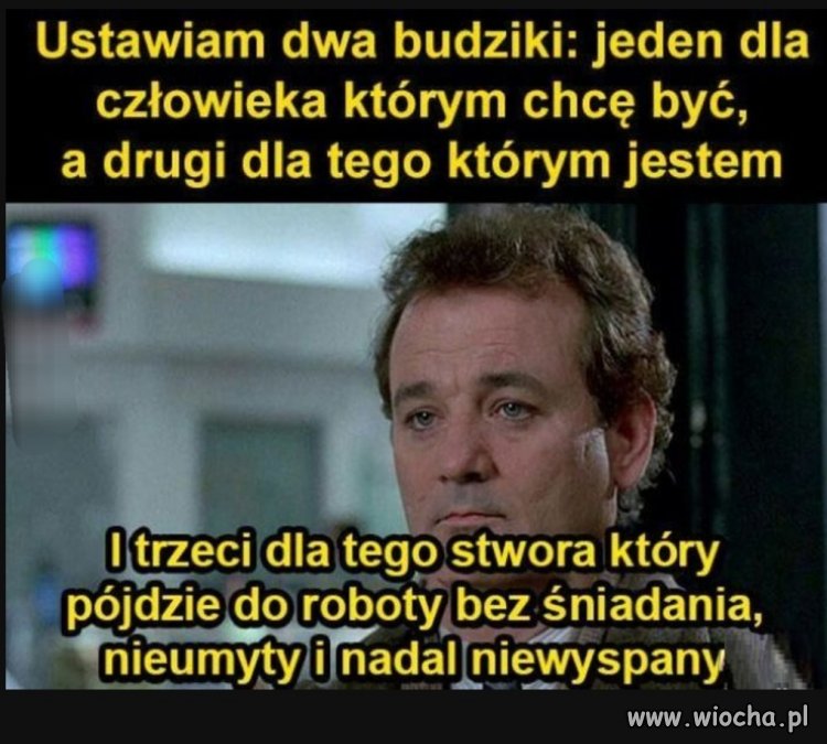 Każdy dorosły który 