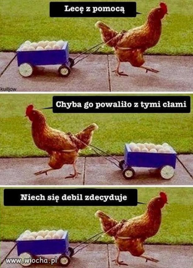 Trump robi sobie jaja...