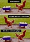 Trump robi sobie jaja...