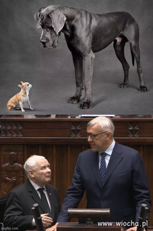 Opis poszedł