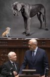 Opis poszedł