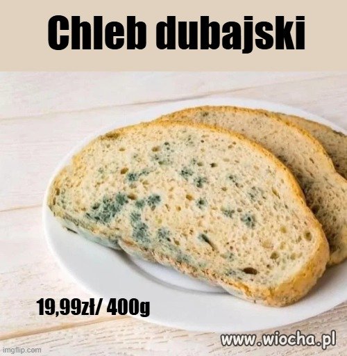 Tylko w najlepszych