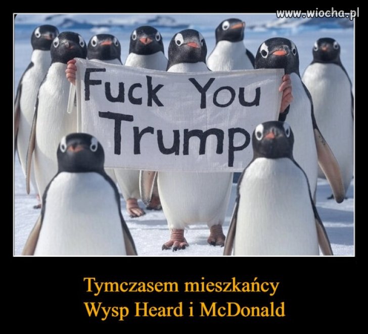 W odpowiedzi na cła nałożone przez Trampa ...
