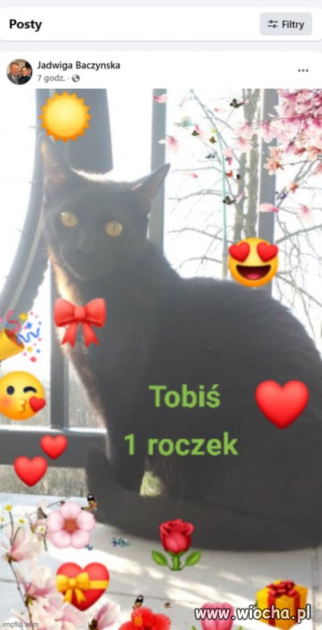Nic tak nie raduje serca PiSowskiej kobiety