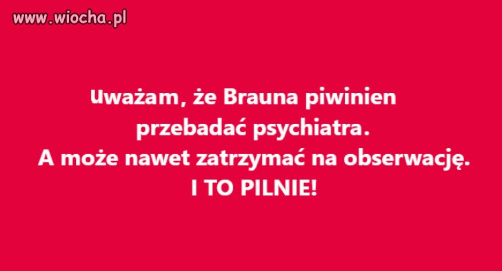 Do Tworek z tym czubkiem