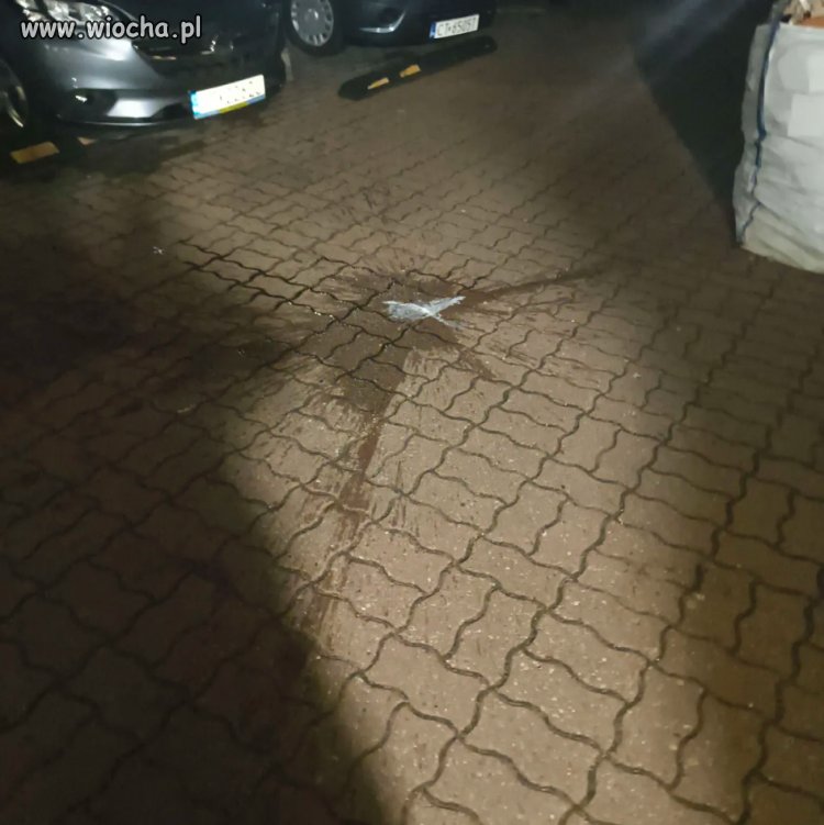 Uwaga Uwaga w Toruniu ulica Leona Raszei 4C