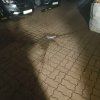 Uwaga Uwaga w Toruniu ulica Leona Raszei 4C
