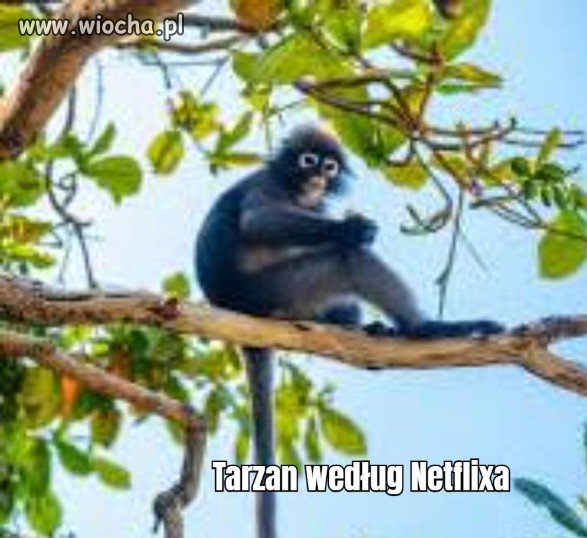 Netflix