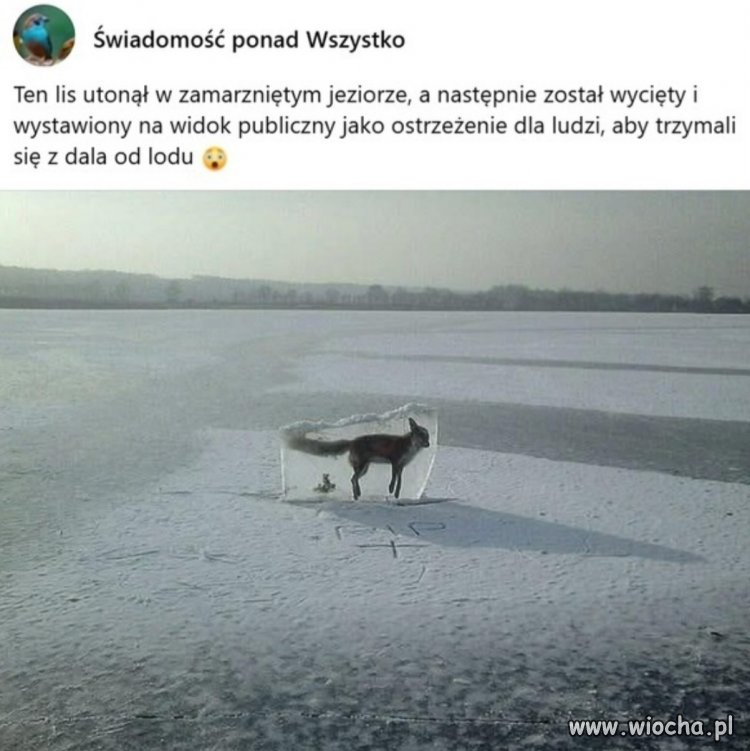 Myślę, że jak już się roztopi 