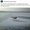Myślę, że jak już się roztopi 